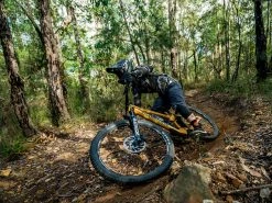 ROCKSHOX Fourche Zeb Ultimate 29'' Charger 3 RC2 Déport 44mm 170mm 2023 -Promos Vtt Complets Boutique rockshox fourche zeb ultimate 29 charger 3 rc2 deport 44mm 170mm 2023 4